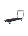 STAGEDEX DOLLY FLAT 20 PCS